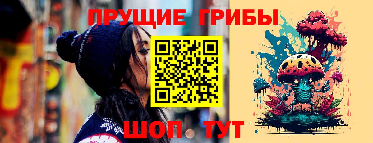 Галлюциногенные грибы Psilocybe Кимры