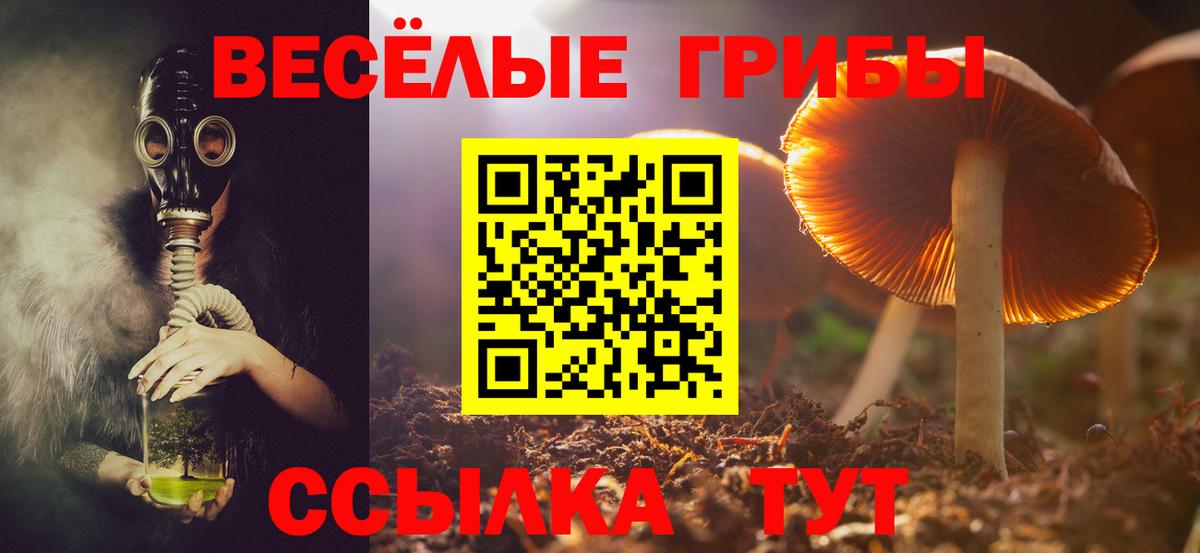 Галлюциногенные грибы GOLDEN TEACHER  Вход с VPN  Кимры  Галлюциногенные грибы Psilocybe 