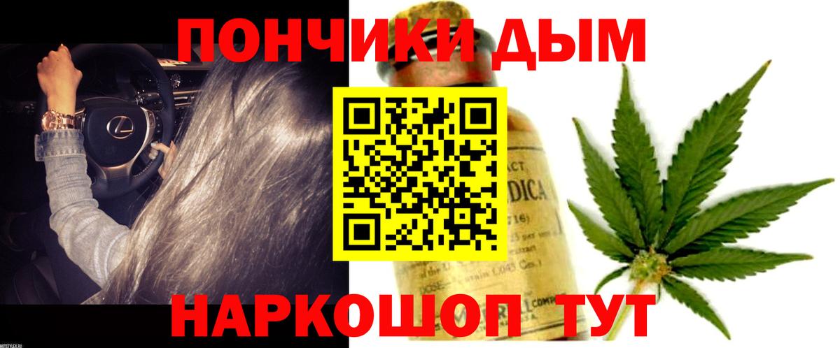 Канабис SATIVA & INDICA Кимры